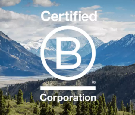 B Corp Logo - showing our comittment to the highest standards of social and environmental performance, transparancy, and accountability
