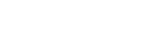 Hexicon logo